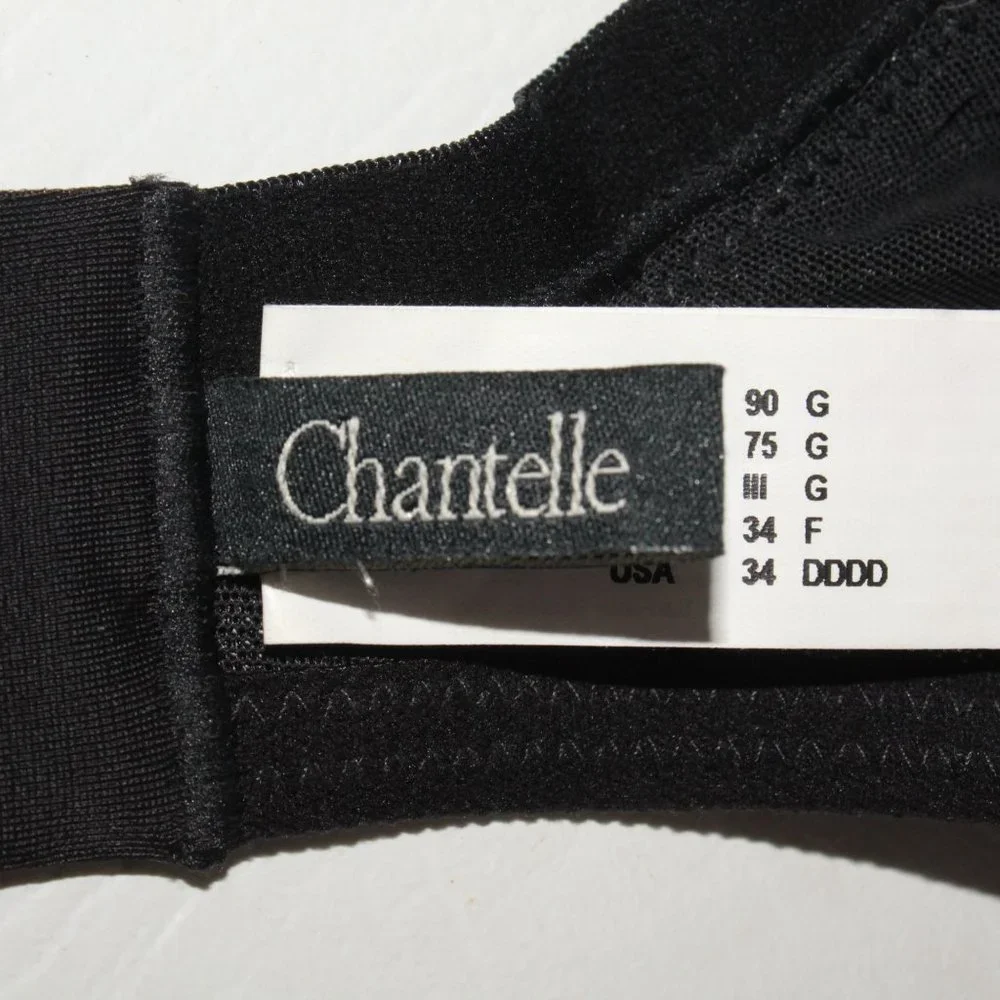 Chantelle Norah Chic Sz 36DDDD Black Underwire Mesh Light Padded Cup Bra